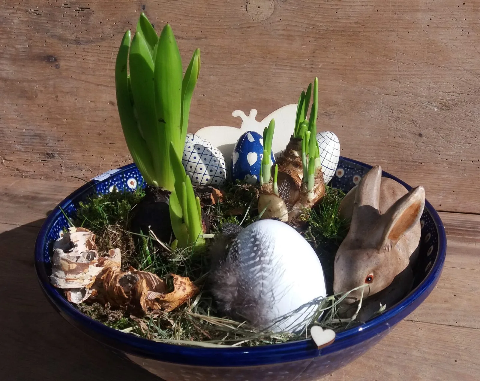 Die Frühlingszwiebel sprießt