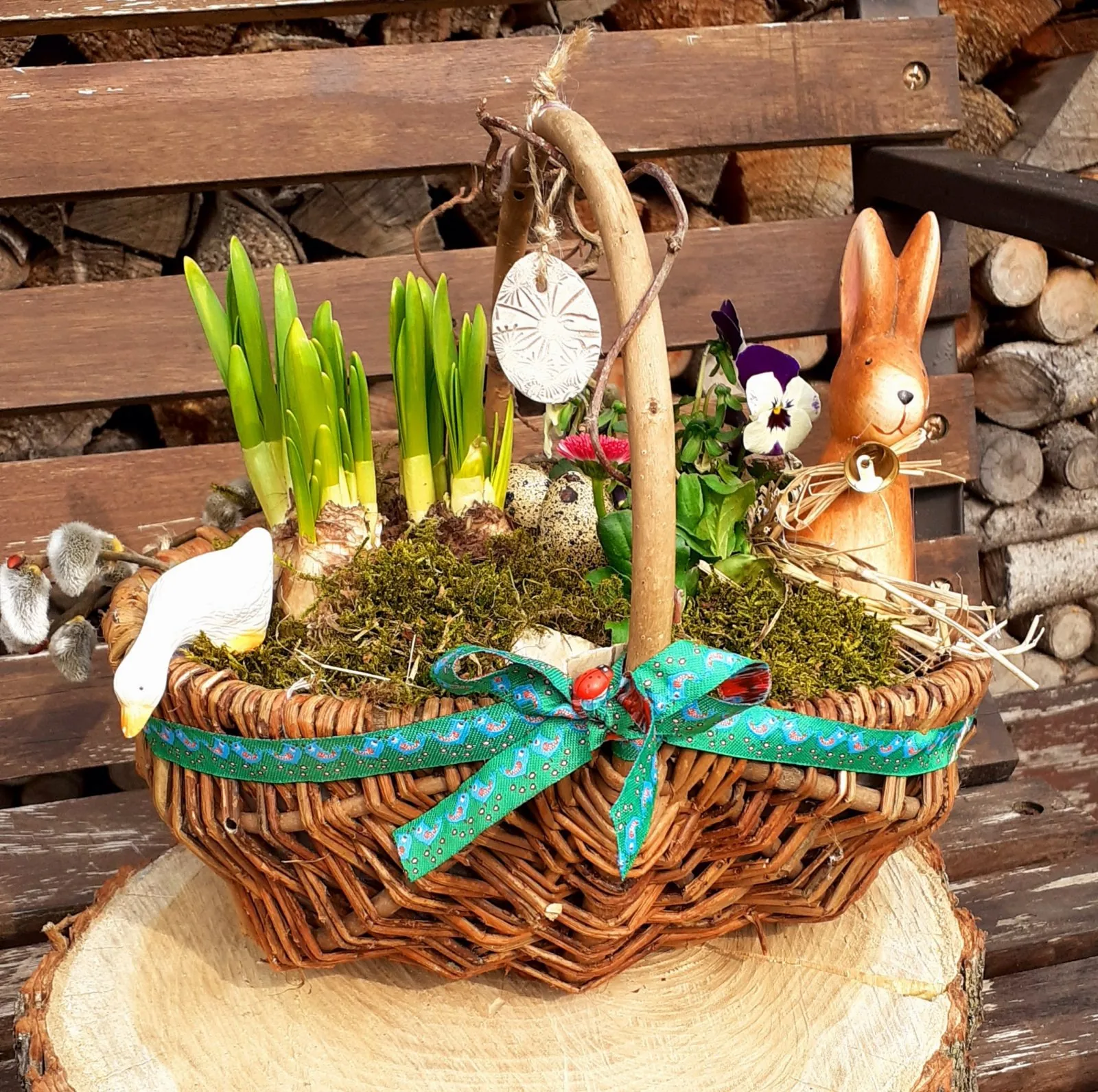 Frühlingserwachen