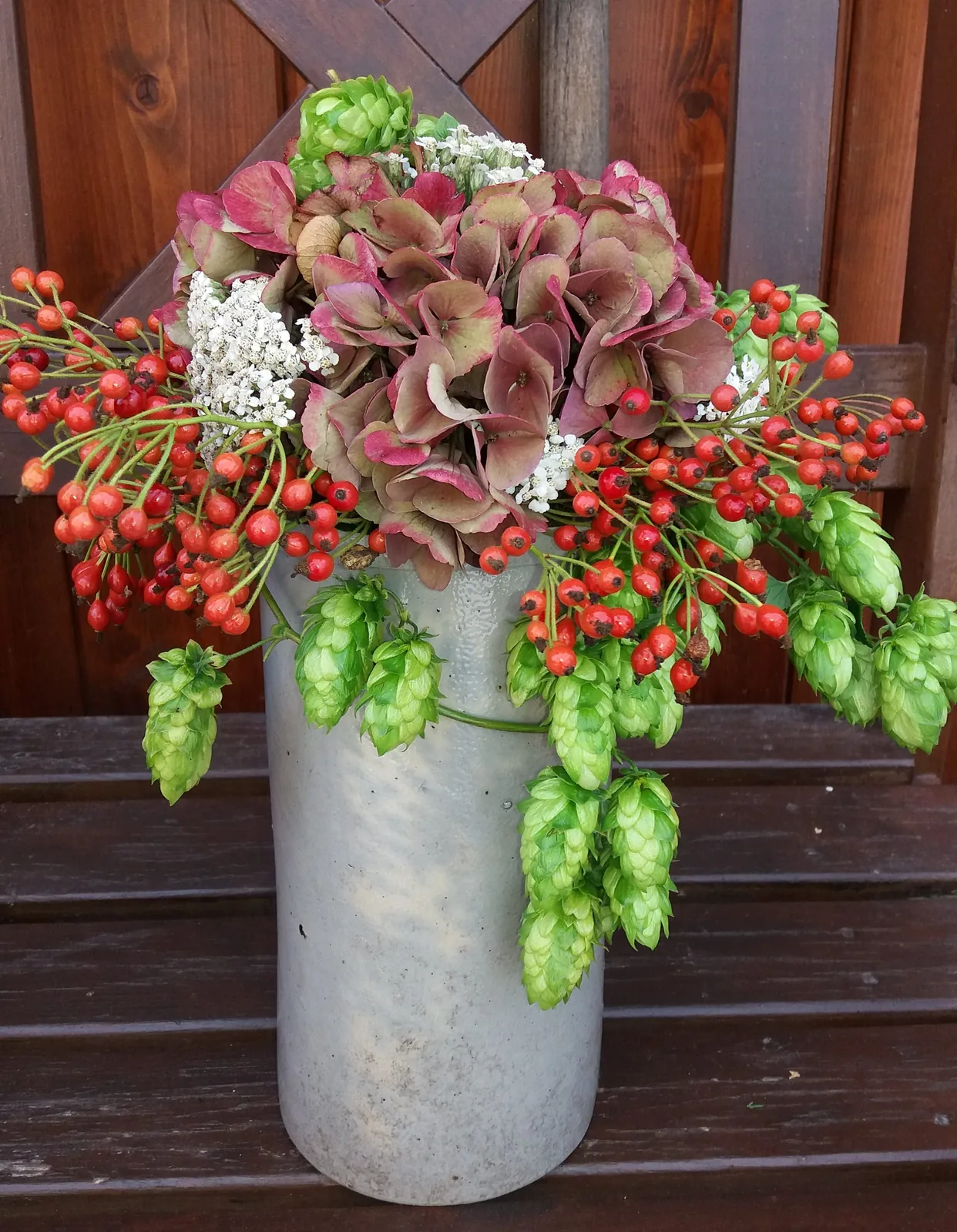 Hortensie regnet Hopfen