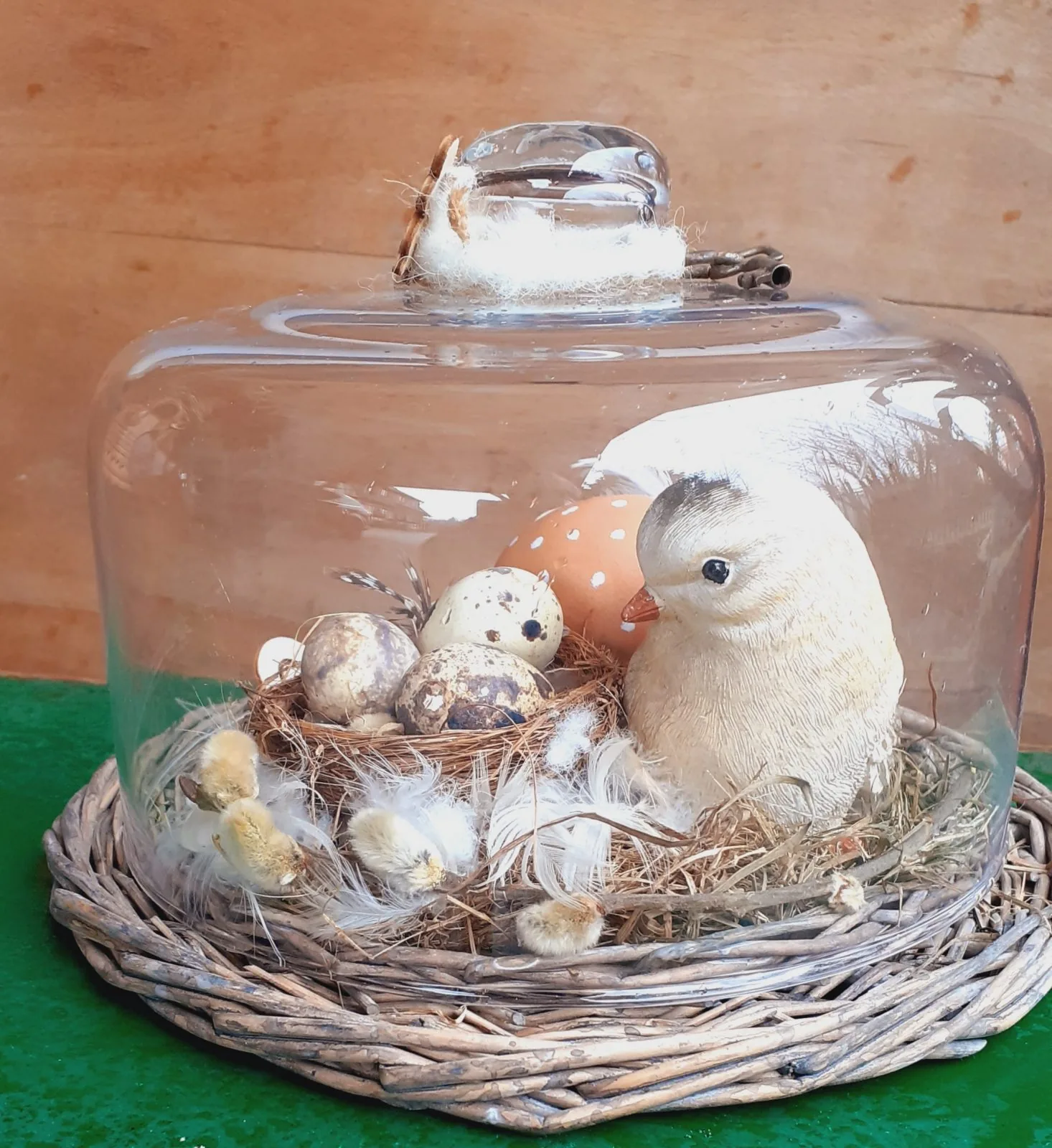 Im gut geschützten Nest