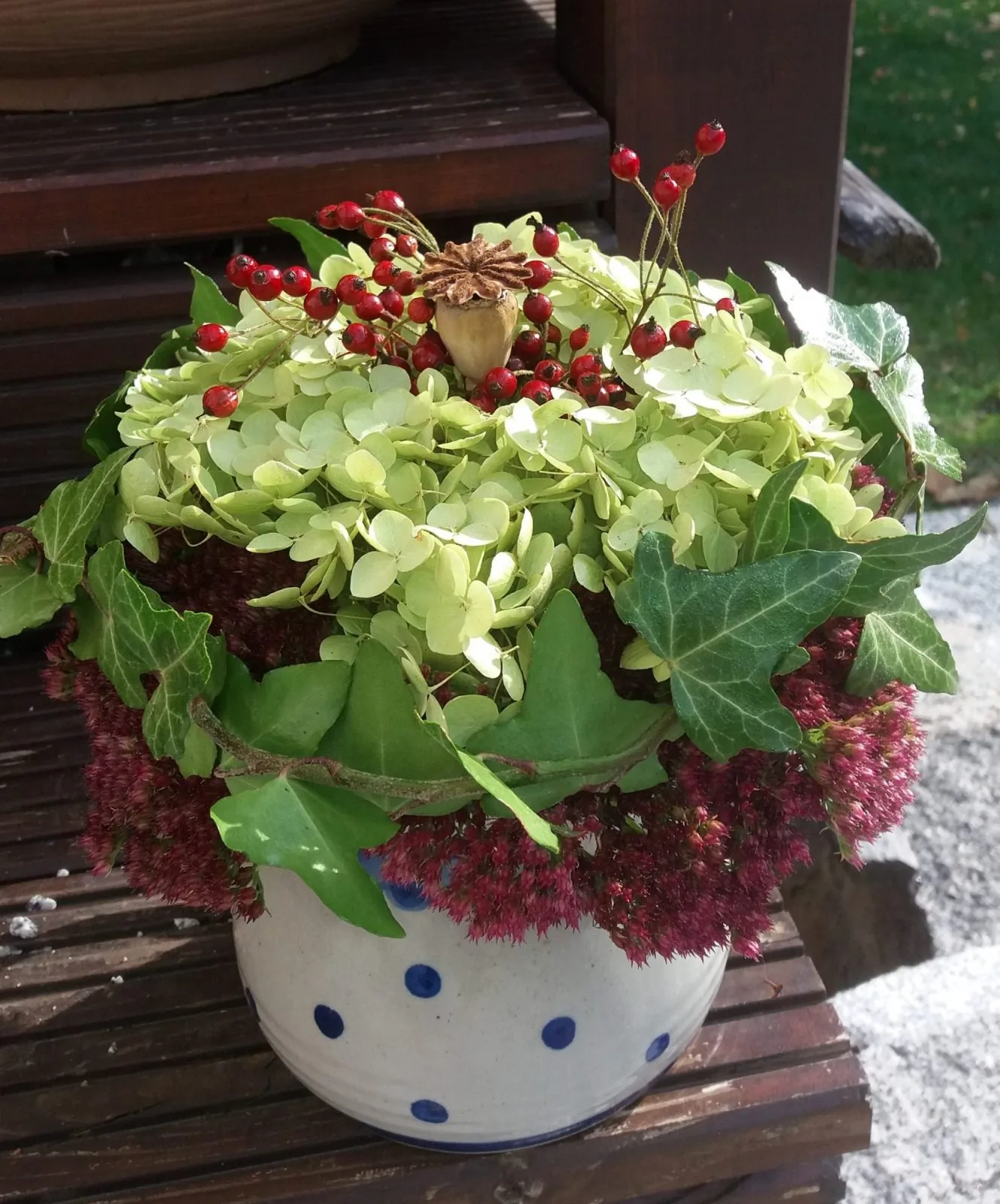 Mohn macht müde Früchte munter