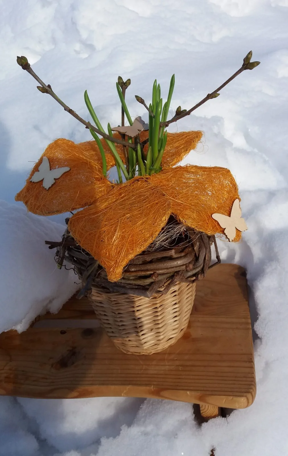 Orange auf der Bank