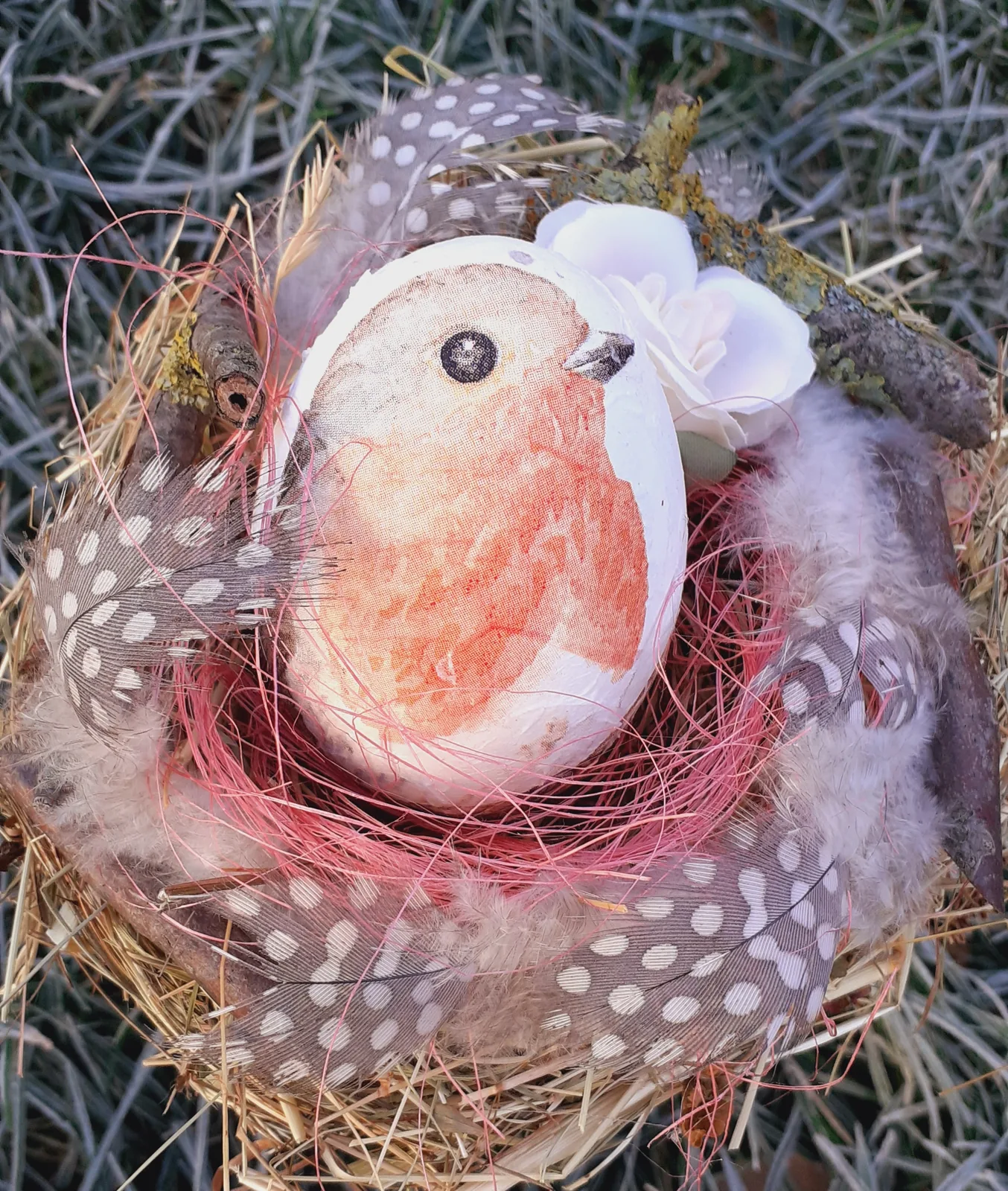 Rotkehlchen im Nest