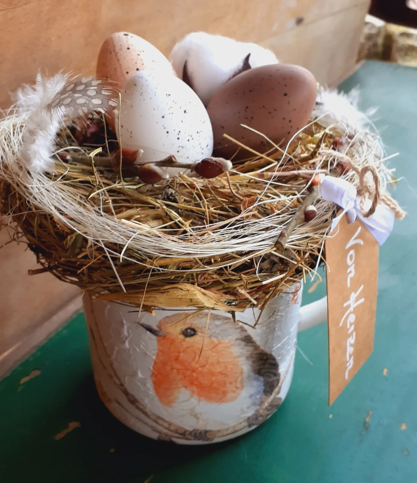 Rotkehlchen zeigt stolz sein Nest.