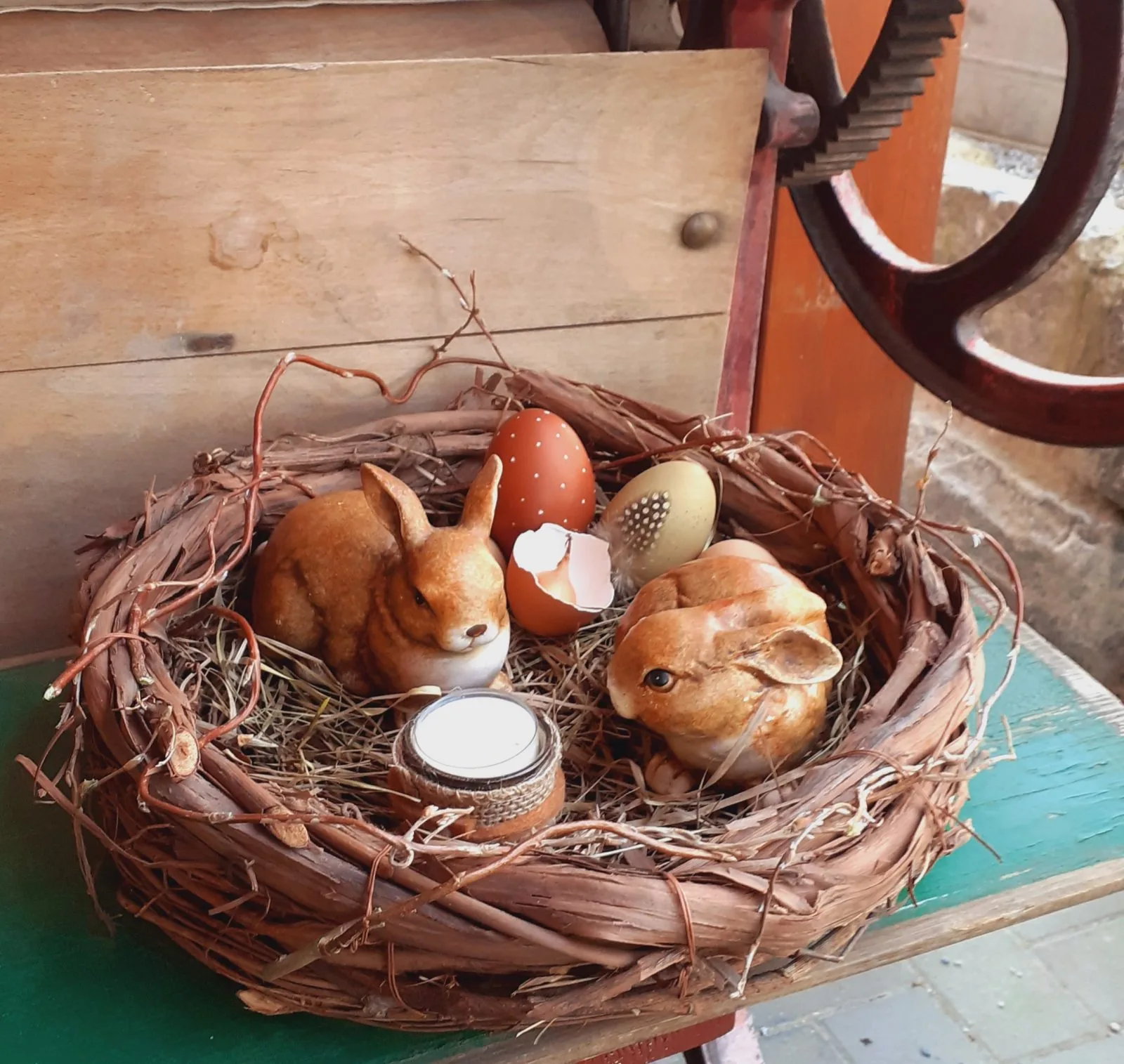Wenn Hasenkinder warten,